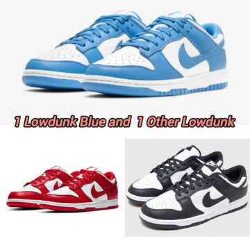Lowdunk blue+ Lowdunk black/red